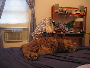 IMG_0012.JPG