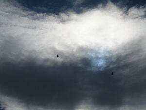 IMG_0007