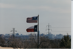 ud-flags.png